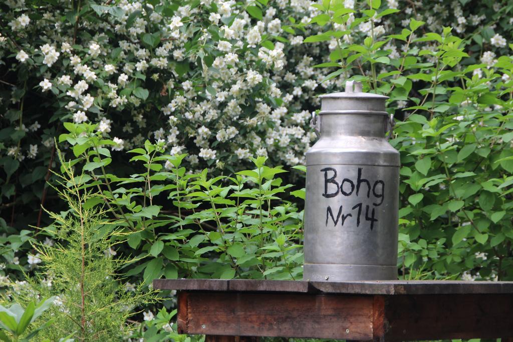 Ferienhof Bohg Burg  Exteriör bild